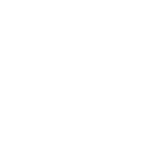 Audi Logo