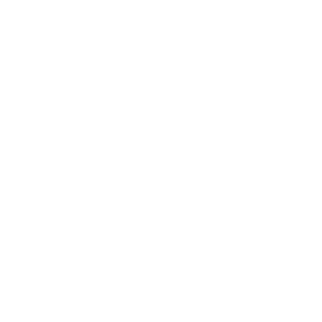 Porsche Logo